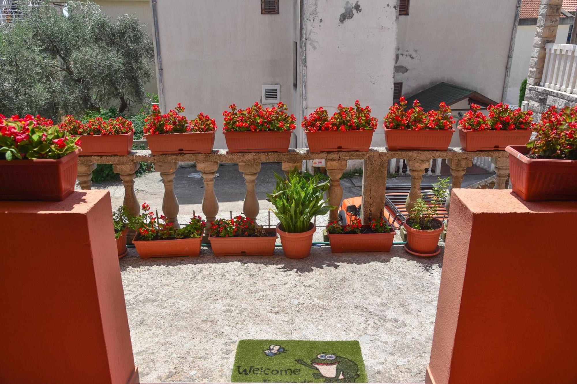 Vila Apartments Lidija Petrovac Exterior foto
